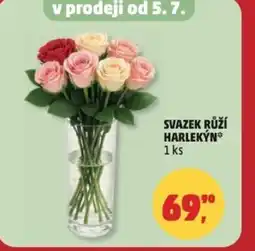 Penny Market Svazek růží harlekỳn nabídka