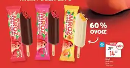 Globus Mrož různé druhy nabídka