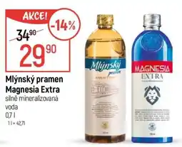 Globus Mlýnský pramen Magnesia Extra nabídka