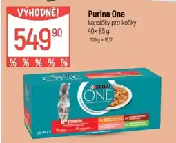 Globus Purina ONE Kapsičky pro kočky nabídka