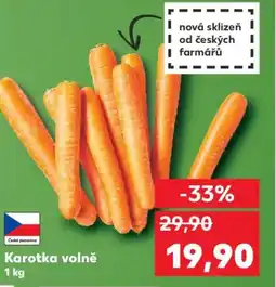 Kaufland Karotka volně nabídka