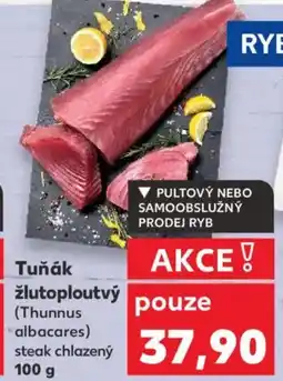 Kaufland Tuňák žlutoploutvý nabídka