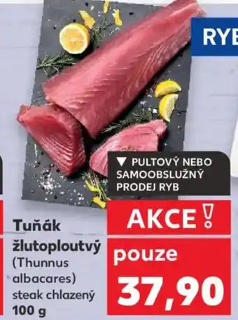 Kaufland Tuňák žlutoploutvý nabídka