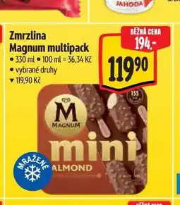 Albert Zmrzlina Magnum multipack nabídka