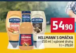 Terno HELLMANN'S OMÁČKA 250 ml vybrané druhy nabídka