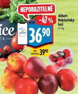 Albert Albert Nektarinky koš nabídka
