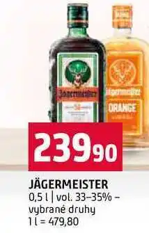 Terno JÄGERMEISTER 0,5l vol. 33-35% vybrané druhy nabídka