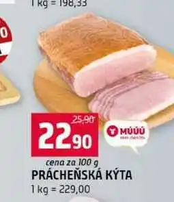 Terno PRÁCHEŇSKÁ KÝTA nabídka