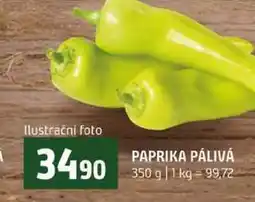 Terno PAPRIKA PÁLIVÁ nabídka
