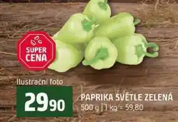 Terno PAPRIKA SVETLE ZELENÁ nabídka