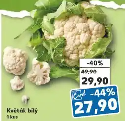 Kaufland Květák bílý nabídka