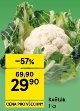 Tesco Květák nabídka