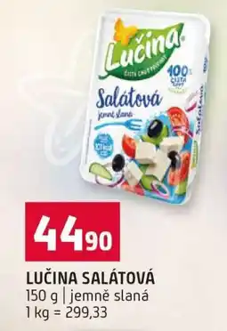 Terno Lučina Salátová nabídka