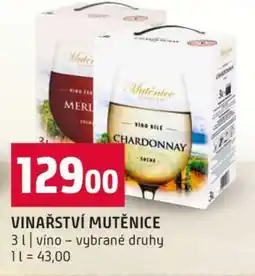 Terno Vinařství Mutěnice nabídka
