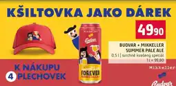 Terno BUDVAR + MIKKELLER SUMMER PALE ALE nabídka