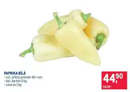 Makro PAPRIKA BÍLÁ nabídka