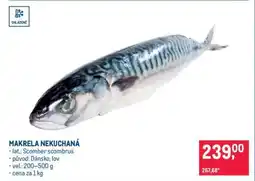 Makro Makrela nekuchaná nabídka