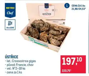Makro Ústřice nabídka