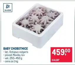 Makro Baby chobotnice nabídka