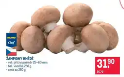 Makro ŽAMPIONY HNĚDÉ nabídka
