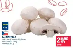 Makro Žampiony bílé nabídka