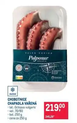 Makro Chobotnice chapadla vařená nabídka