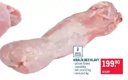 Makro Králík bez hlavy nabídka