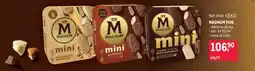 Makro Magnum mini nabídka