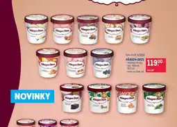 Makro Häagen Dazs nabídka