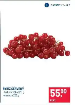 Makro Rybíz červený nabídka