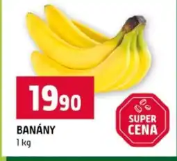Terno Banány nabídka