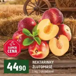 Terno Nektarinky žlutomasé nabídka