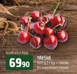 Terno Třešně nabídka