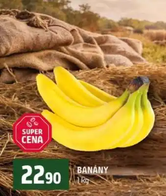 Terno Banány nabídka