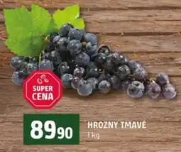 Terno Hrozny tmavé nabídka