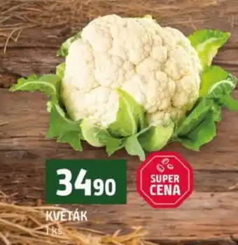 Terno Květák nabídka