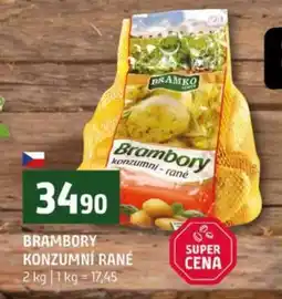 Terno Brambory konzumní rané nabídka