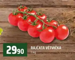 Terno RAJČATA VĚTVIČKA nabídka