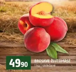 Terno Broskve žlutomasé nabídka