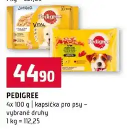Terno Pedigree nabídka