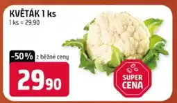 Terno Květák 1 ks nabídka