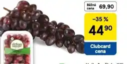 Tesco Hrozny révy červené bezpeckové nabídka