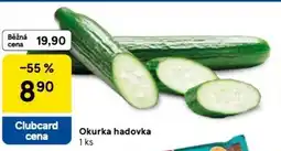 Tesco Okurka hadovka nabídka
