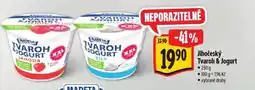 Albert MADETA Jihočeský Tvaroh & Jogurt nabídka
