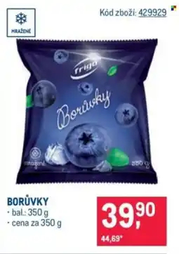 Makro Borůvky nabídka