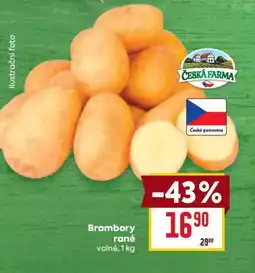 Billa Brambory rané nabídka