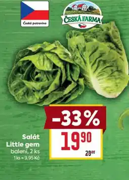 Billa Salát Little gem nabídka