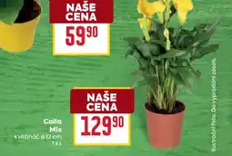 Billa Calla Mix nabídka