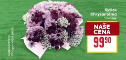 Billa Kytice Chryzantéma nabídka