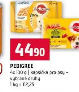Terno PEDIGREE 4x 100 g kapsička pro psy vybrané druhy nabídka